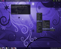 http://www.mermaid-productions.com/miscjunk/linux/crunchbang_screenshot_091909-thumb.png